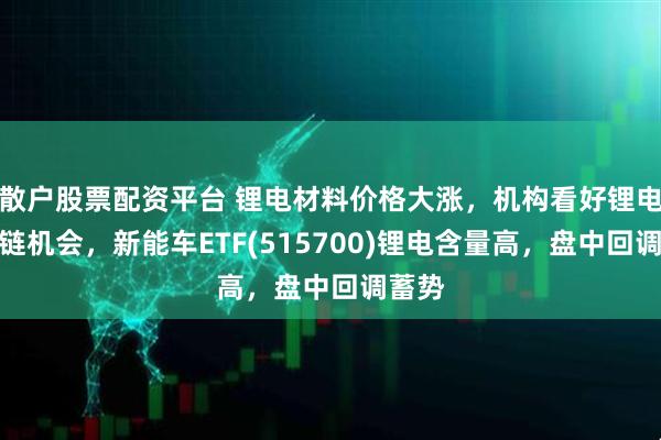 散户股票配资平台 锂电材料价格大涨,机构看好锂电产业链机会,新能车ETF(515700)锂电含量高,盘中回调蓄势