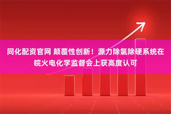 同化配资官网 颠覆性创新!源力除氯除硬系统在皖火电化学监督会上获高度认可