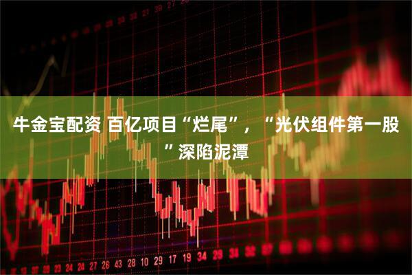 牛金宝配资 百亿项目“烂尾”，“光伏组件第一股”深陷泥潭