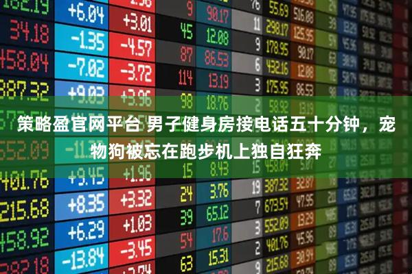 策略盈官网平台 男子健身房接电话五十分钟，宠物狗被忘在跑步机上独自狂奔