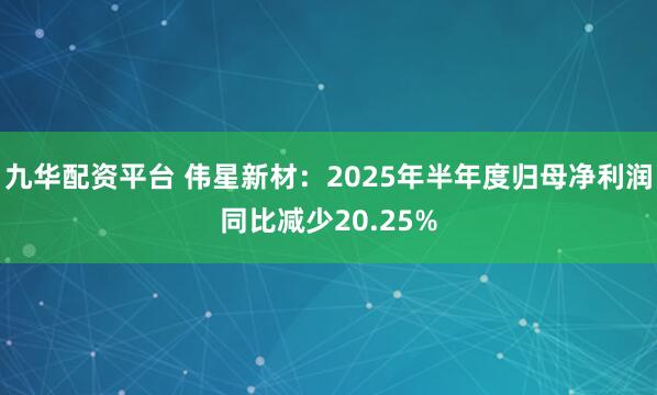 九华配资平台 伟星新材：2025年半年度归母净利润同比减少20.25%