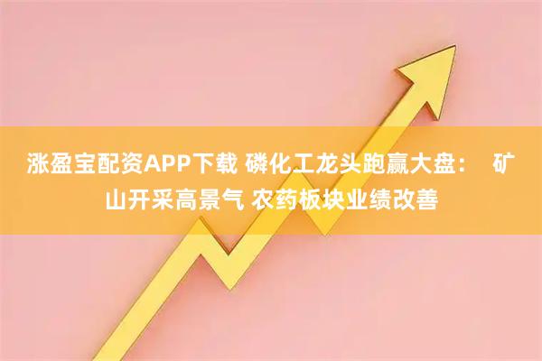 涨盈宝配资APP下载 磷化工龙头跑赢大盘：  矿山开采高景气 农药板块业绩改善