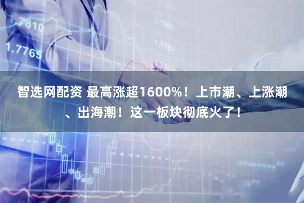 智选网配资 最高涨超1600%！上市潮、上涨潮、出海潮！这一板块彻底火了！